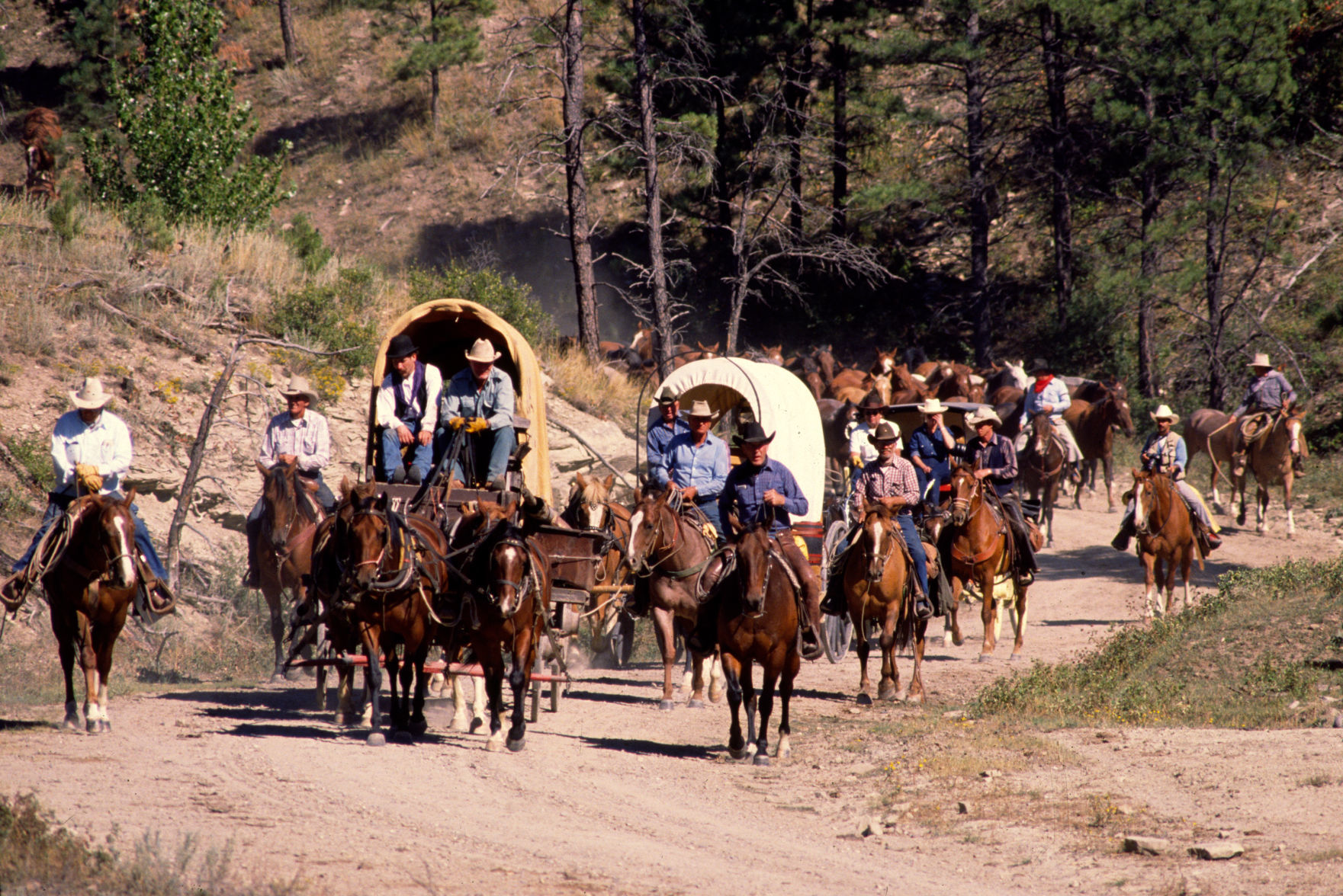 Great Montana Centennial Cattle Drive